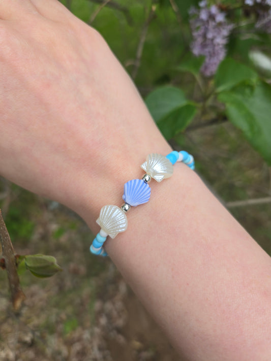 Glacier coast seashell bracelet