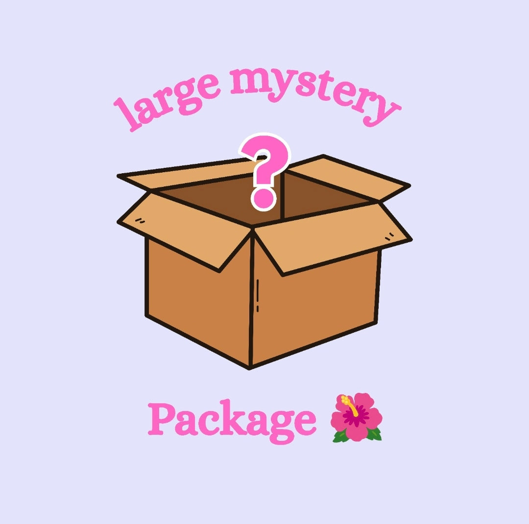Large Mystery Package